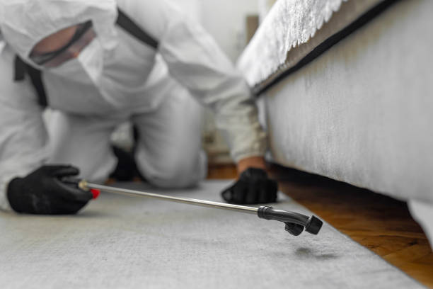 Professional Ant Control technician working in Highland Heights, OH