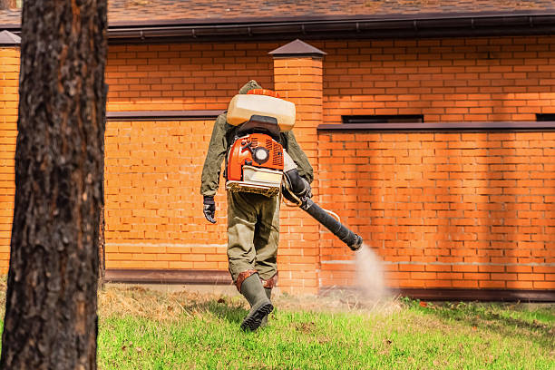 Top rated local Ant Control specialists in Highland Heights, OH